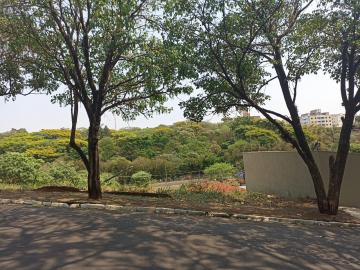 Sao Carlos Parque Santa Monica Terreno Venda R$179.000,00  Area do terreno 585.00m2 