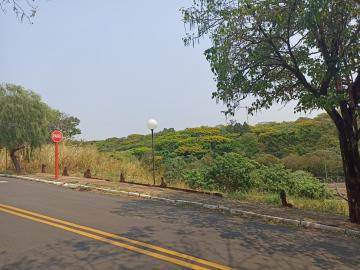 Sao Carlos Parque Santa Monica Terreno Venda R$199.000,00  Area do terreno 585.00m2 