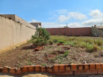 Sao Carlos Jardim Embare Terreno Locacao R$ 556,00  Area do terreno 250.00m2 