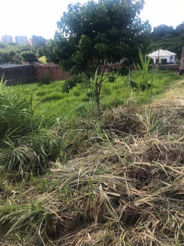 Sao Carlos Parque Santa Monica Terreno Venda R$270.000,00  Area do terreno 570.94m2 