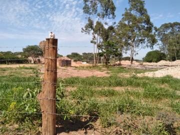 Sao Carlos Conjunto Habitacional Waldomiro Lobbe Sobrinho Terreno Locacao R$ 6.000,00  Area do terreno 6114.00m2 