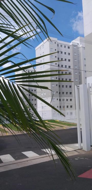Sao Carlos Recreio Sao Judas Tadeu Apartamento Venda R$213.000,00 Condominio R$210,00 2 Dormitorios 1 Vaga 