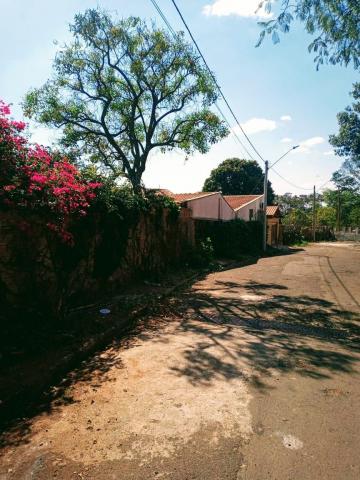 Sao Carlos Jardim Cruzeiro do Sul Casa Venda R$800.000,00 2 Dormitorios 6 Vagas Area do terreno 820.00m2 Area construida 200.00m2