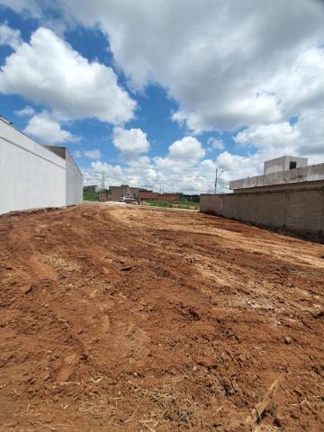 Ibate Loteamento Jequitiba i Terreno Venda R$230.000,00  Area do terreno 400.00m2 