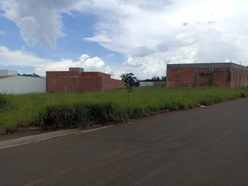 Sao Carlos Jardim do Bosque Terreno Venda R$215.000,00  Area do terreno 280.26m2 