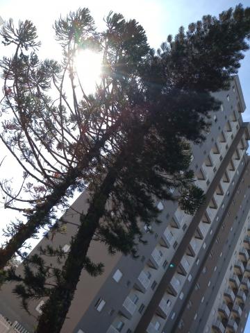 Sao Carlos Recreio Sao Judas Tadeu Apartamento Venda R$219.000,00 2 Dormitorios 1 Vaga 