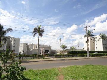 Sao Carlos Jardim Nova Sao Carlos Apartamento Venda R$180.000,00 Condominio R$279,00 2 Dormitorios 1 Vaga 