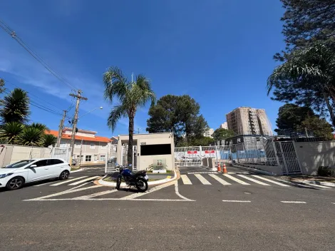 Sao Carlos Parque Sabara Apartamento Locacao R$ 1.945,00 Condominio R$505,00 2 Dormitorios 1 Vaga 