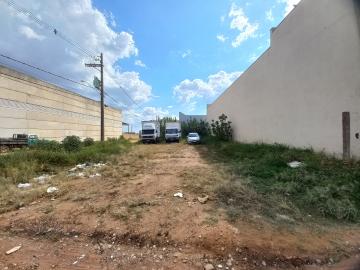 Sao Carlos Jardim Sao Paulo Terreno Locacao R$ 2.889,00  Area do terreno 360.00m2 