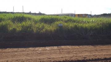 Sao Carlos VilleNeuve I Terreno Venda R$255.000,00 Condominio R$304,00  Area do terreno 240.00m2 