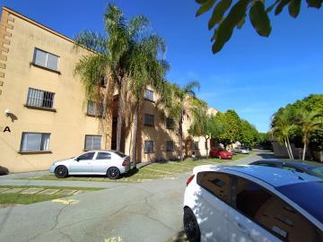 Sao Carlos Parque Arnold Schimidt Apartamento Venda R$200.000,00 Condominio R$400,00 2 Dormitorios 1 Vaga 