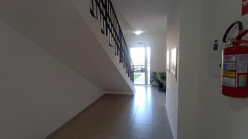 Sao Carlos Vila Rancho Velho Apartamento Venda R$350.000,00 Condominio R$235,00 2 Dormitorios 1 Vaga 