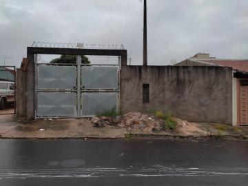 Sao Carlos Cidade Aracy Terreno Locacao R$ 700,00  Area do terreno 250.00m2 