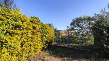 Ibate Rural Rural Venda R$250.000,00 