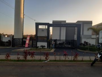 Sao Carlos Parque Santa Felicia Jardim Apartamento Locacao R$ 1.150,00 Condominio R$298,00 2 Dormitorios 1 Vaga 