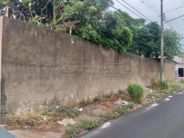 Sao Carlos Vila Monteiro Gleba I Terreno Locacao R$ 778,00  Area do terreno 300.00m2 