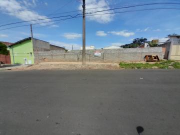 Sao Carlos Jardim Centenario Terreno Locacao R$ 889,00  Area do terreno 300.00m2 