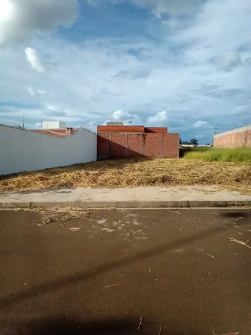 Sao Carlos Jardim do Bosque Terreno Venda R$185.000,00  Area do terreno 253.00m2 