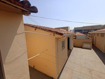 Sao Carlos Centreville Casa Locacao R$ 4.500,00 3 Dormitorios 4 Vagas Area do terreno 521.47m2 Area construida 362.47m2
