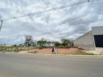Sao Carlos Jardim Santa Maria II Terreno Locacao R$ 1.300,00  Area do terreno 450.00m2 