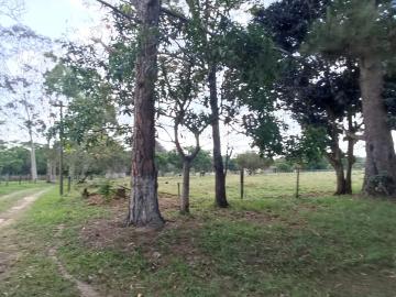 Sao Carlos Varjao Rural Venda R$1.540.000,00 