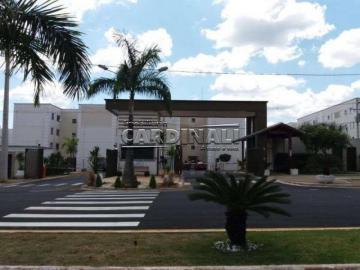 Sao Carlos Parque Fehr Apartamento Locacao R$ 1.112,00 2 Dormitorios 1 Vaga 