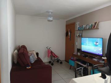Sao Carlos Parque Santa Felicia Jardim Apartamento Venda R$180.000,00 Condominio R$230,00 2 Dormitorios 1 Vaga 