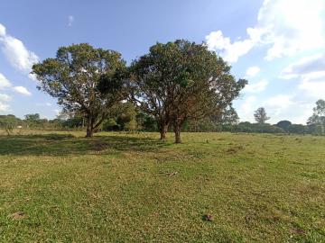 Sao Carlos Varjao Rural Venda R$1.100.000,00 