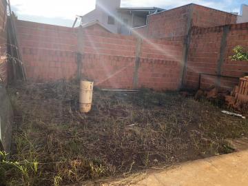 Sao Carlos Jardim Araucaria Casa Venda R$220.000,00 2 Dormitorios 2 Vagas Area do terreno 150.00m2 Area construida 62.00m2
