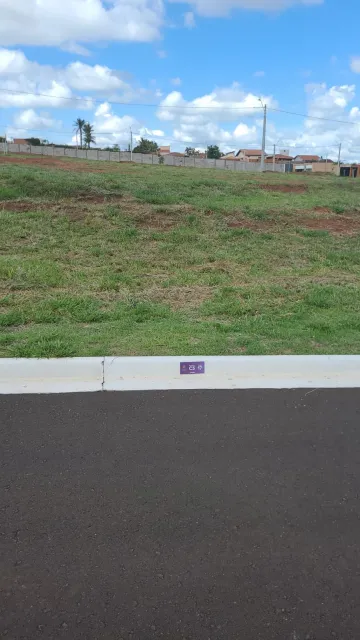 Sao Carlos Parque Santa Felicia Jardim Terreno Venda R$297.000,00 Condominio R$300,00  Area do terreno 300.00m2 