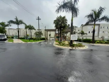 Sao Carlos Parque Santa Felicia Jardim Apartamento Venda R$170.000,00 Condominio R$220,00 2 Dormitorios 1 Vaga 