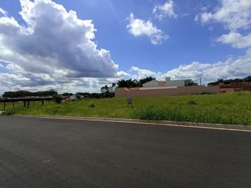 Sao Carlos Jardim do Bosque Terreno Venda R$221.000,00  Area do terreno 341.30m2 