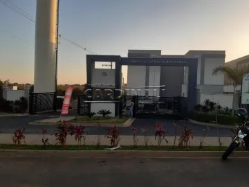Sao Carlos Parque Santa Felicia Jardim Apartamento Venda R$170.000,00 Condominio R$250,00 2 Dormitorios 1 Vaga 