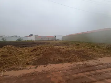 Sao Carlos Quinta dos Buritis Terreno Venda R$265.000,00 Condominio R$100,00  Area do terreno 1000.00m2 