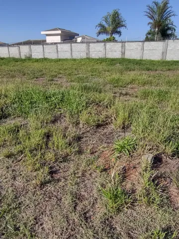 Sao Carlos Parque Santa Felicia Jardim Terreno Venda R$300.000,00 Condominio R$250,00  Area do terreno 300.41m2 