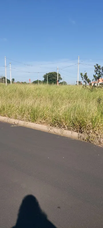 Sao Carlos Agua Vermelha Terreno Venda R$106.000,00  Area do terreno 11.11m2 
