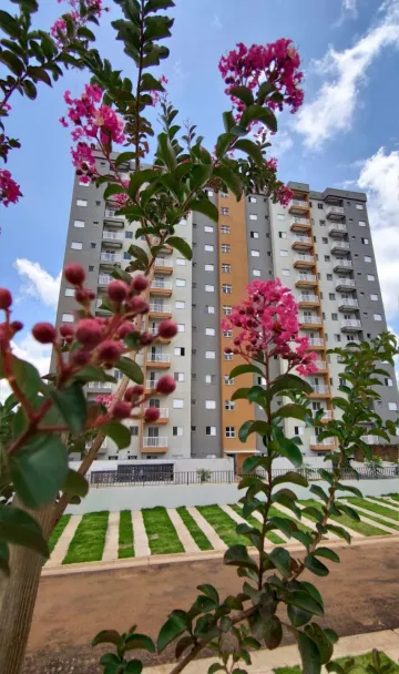 Sao Carlos Cidade Jardim Apartamento Venda R$310.000,00 Condominio R$235,00 2 Dormitorios 1 Vaga 