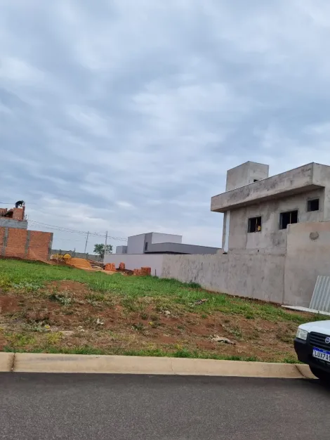 Sao Carlos Jardim Jockey Clube Terreno Venda R$265.000,00  Area do terreno 240.00m2 