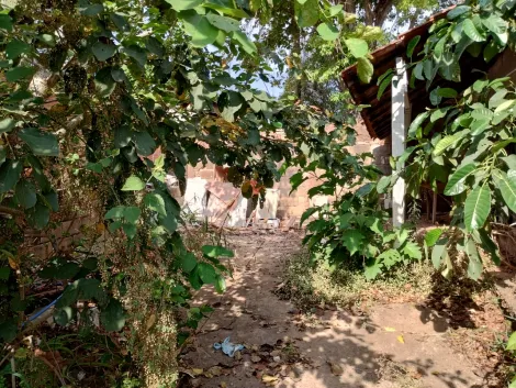 Sao Carlos Jardim Paraiso Casa Venda R$280.000,00 2 Dormitorios  Area do terreno 250.00m2 