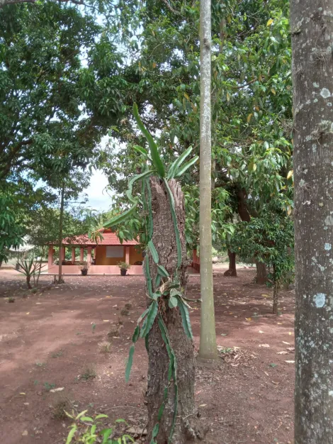 Sao Carlos Estancia Balnearia Concordia Rural Venda R$500.000,00 3 Dormitorios 1 Vaga 