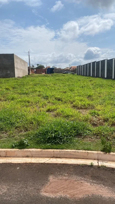 Sao Carlos Parque Santa Felicia Jardim Terreno Venda R$320.000,00 Condominio R$546,00  Area do terreno 307.03m2 