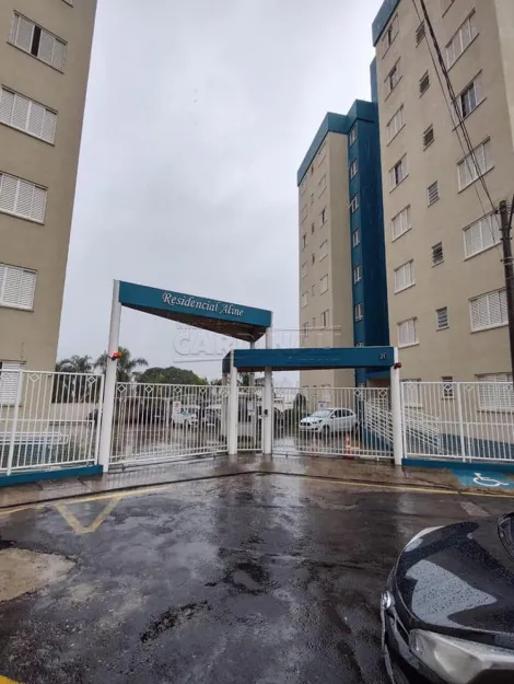 Sao Carlos Vila Pelicano Apartamento Venda R$240.000,00 Condominio R$200,00 2 Dormitorios 1 Vaga 