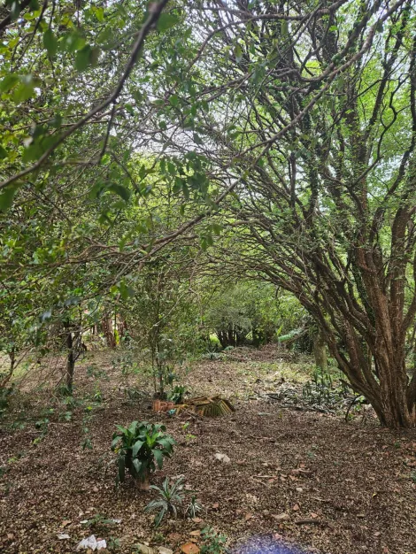 Sao Carlos Vila Rancho Velho Casa Venda R$1.065.000,00 3 Dormitorios 2 Vagas Area do terreno 3040.00m2 Area construida 153.00m2