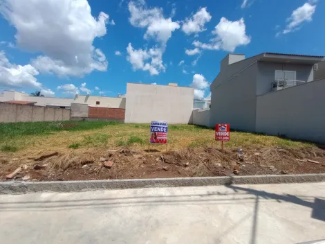 Sao Carlos Parque Santa Felicia Jardim Terreno Venda R$350.000,00  Area do terreno 462.00m2 