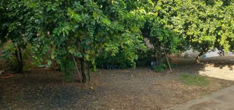 Sao Carlos Jardim Embare Casa Venda R$310.000,00 1 Dormitorio 4 Vagas Area do terreno 250.00m2 Area construida 70.00m2