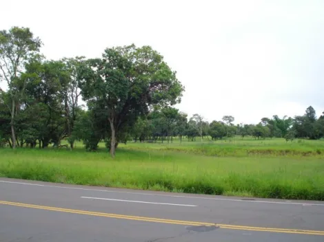 Sao Carlos Chacara Flores Rural Venda R$4.769.200,00 Area construida 23846.00m2