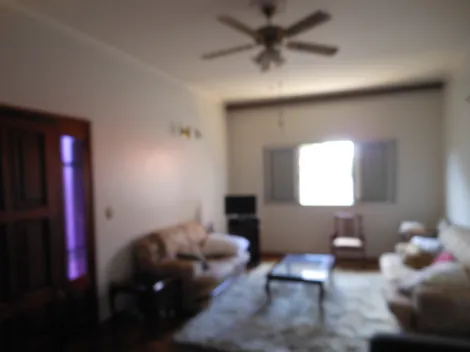 Sao Carlos Jardim Macarengo Casa Venda R$990.000,00 2 Dormitorios  Area do terreno 478.50m2 Area construida 226.15m2