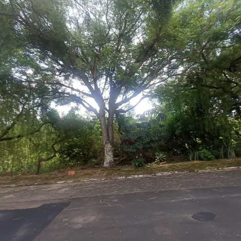 Sao Carlos Parque Santa Monica Terreno Venda R$230.000,00  Area do terreno 459.00m2 