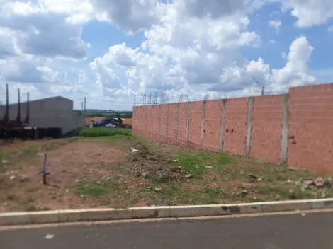 Ibate Loteamento Jequitiba i Terreno Venda R$128.000,00  Area do terreno 200.00m2 