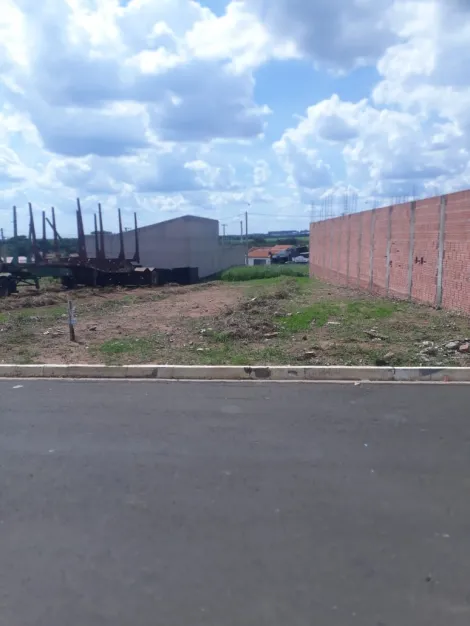 Ibate Loteamento Jequitiba i Terreno Venda R$128.000,00  Area do terreno 200.00m2 